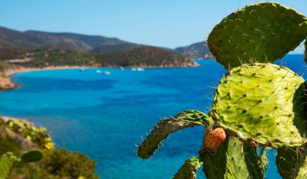 Spiagge vicino a cagliari, lontane dalla folla