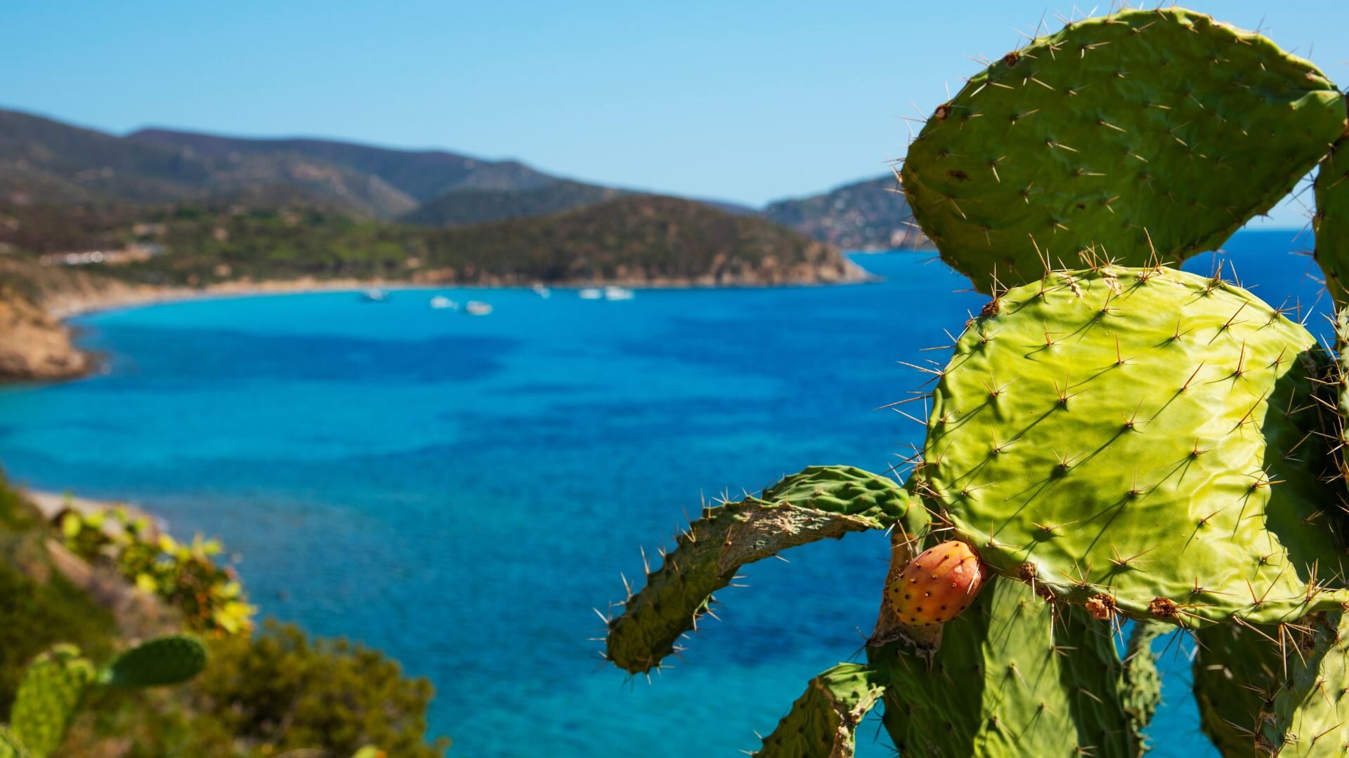 Spiagge vicino a cagliari, lontane dalla folla